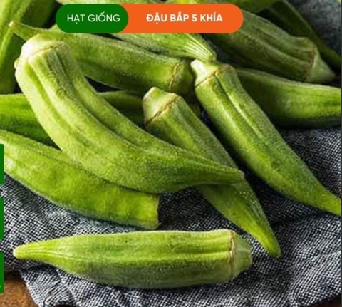 HẠT GIỐNG ĐẬU BẮP 5 KHÍA