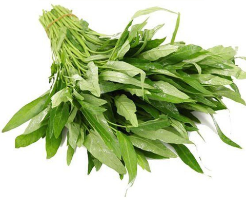 Hạt giống rau muống