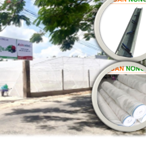 NHÀ LƯỚI TRỒNG RAU SẠCH CHO KHÁCH GÒ QUAO - KIÊN GIANG