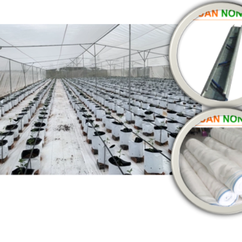 NHÀ LƯỚI TRỒNG ỚT CÔNG NGHỆ CAO CỦ CHI, HCM