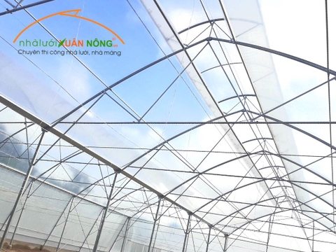 NHÀ MÀNG CÔNG NGHỆ CAO