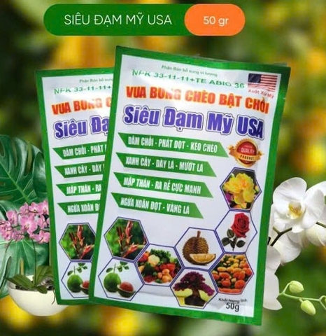 SIÊU ĐẠM MỸ