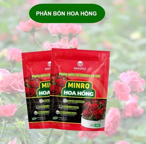 PHÂN BÓN HOA HỒNG
