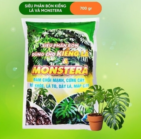 PHÂN BÓN KIỂNG LÁ