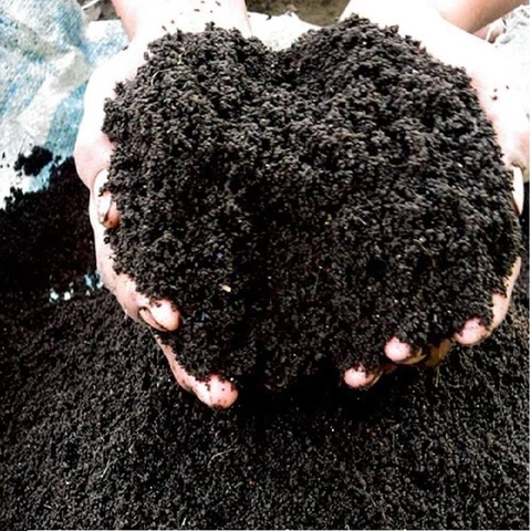 PHÂN TRÙN QUẾ BAO 38KG