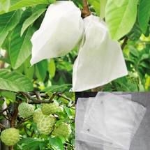 TÚI BAO TRÁI 18 x 24