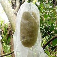 TÚI BAO TRÁI 50 x 70