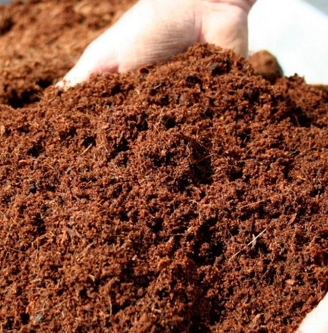 XƠ DỪA ĐÃ XỬ LÝ, Ủ NẤM TRICODERMA