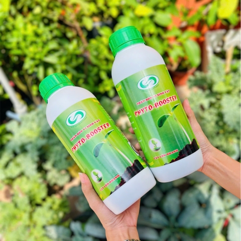 PHÂN BÓN VI SINH RHYTO-BOOSTER