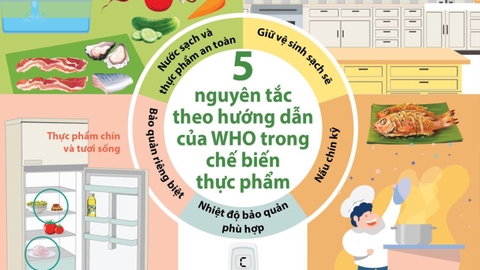 5 nguyên tắc trong chế biến để thực phẩm an toàn hơn