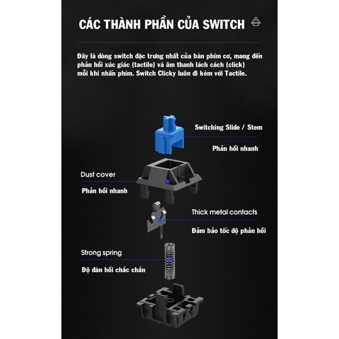Bàn phím cơ Panstan Pk200 dòng Blue switch Led đổi màu chuyên Game
