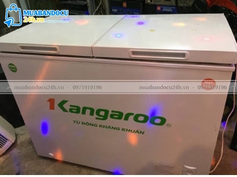 MUA TỦ ĐÔNG CŨ Ở NHA TRANG TẠI ĐỊA CHỈ NÀO GIÁ RẺ