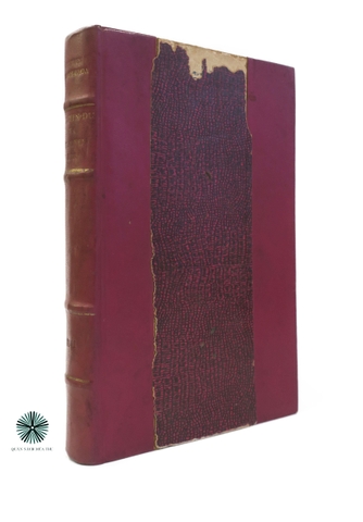 NGUYỄN DU VÀ TRUYỆN KIỀU