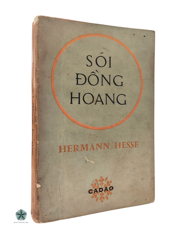 SÓI ĐỒNG HOANG