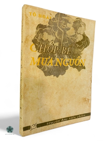 CHỚP BỂ MƯA  NGUỒN