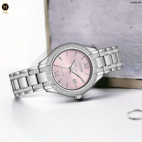 FE1230-51X 