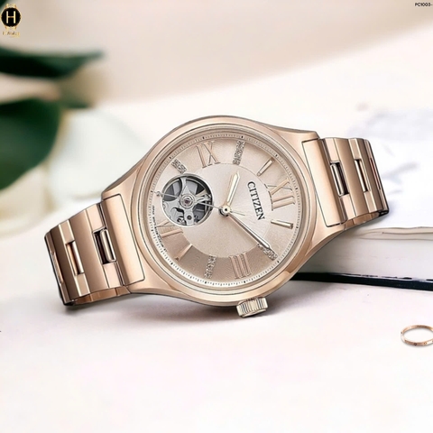 PC1003-58X