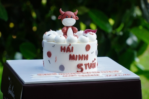 Bánh Kem Fondant