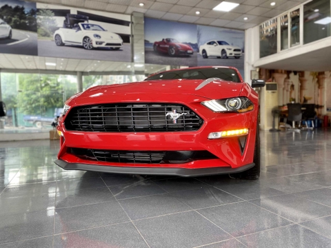 Ford Mustang 2.3 High Performance 2021