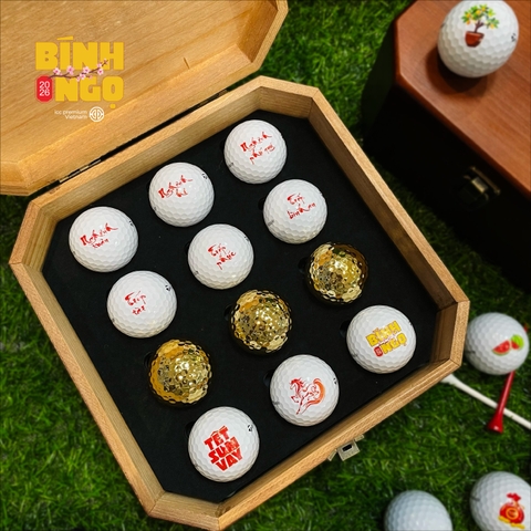 ICC PREMIUM VIET NAM