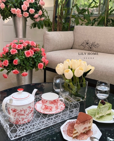 𝑩𝑶̣̂ 𝑨̂́𝑴 𝑻𝑹𝑨̀ 𝑪𝑨𝑶 𝑪𝑨̂́𝑷 𝑪𝑯𝑹𝑰𝑺𝑻𝑰𝑨𝑵 𝑫.𝑰.𝑶.𝑹