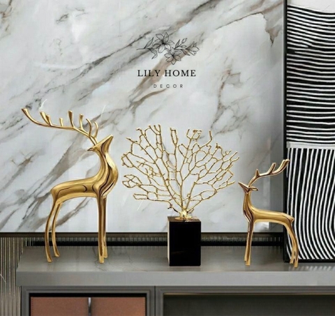 𝑫𝑬𝑪𝑶𝑹 𝑪𝑨̂𝒀 𝑷𝑯𝑶𝑵𝑮 𝑻𝑯𝑼𝒀̉ 𝑺𝑼̛́𝑪 𝑺𝑶̂́𝑵𝑮 𝑻𝑹𝑨̀𝑵 Đ𝑨̂̀𝒀