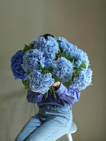 Hoa cẩm tú cầu xanh