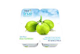 Kem ăn TH TRUE ICE CREAM dừa hộp 100g lốc 4