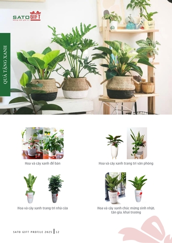 Quà tặng xanh – Gửi trao yêu thương, lan tỏa lối sống bền vững