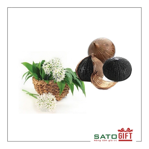 Quà tặng Sức khỏe - Tỏi đen
