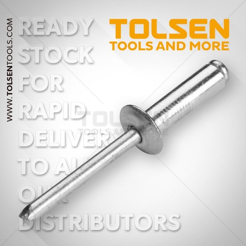 Bọc 50 rive 4*10mm Tolsen - 43009