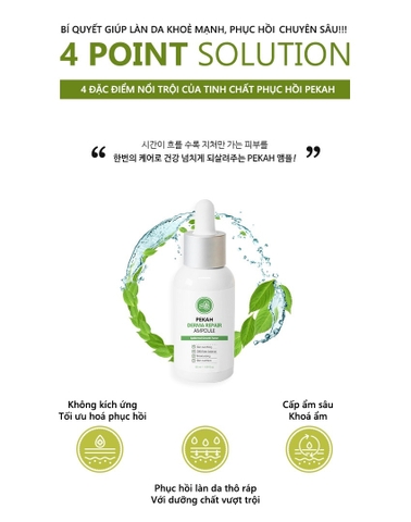Tinh Chất Phục Hồi Da Hư Tổn ( Da Mụn ) PEKAH - PEKAH Derma Repair Ampoule