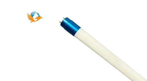 TUÝP THỦY TINH TTT25W