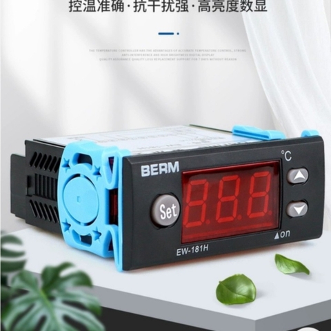 Đồng hồ Ewelly 181