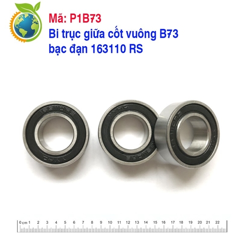 Bi trục giữa cốt vuông  B73  bạc đạn 163110 RS