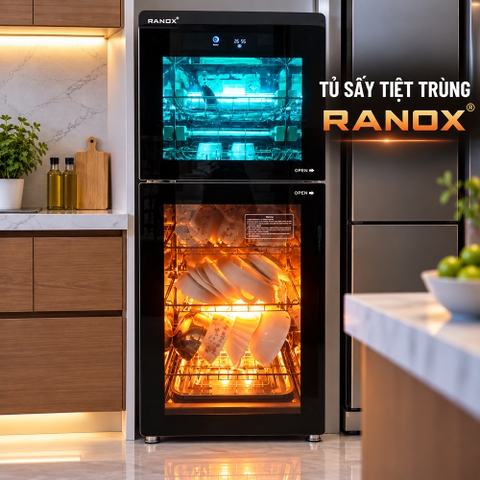 [Tư vấn] Có nên mua máy sấy bát gia đình Ranox hay không?