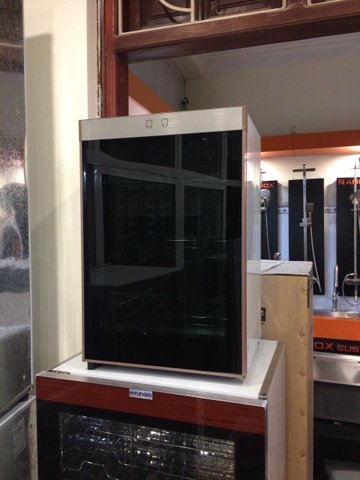 Máy sấy chén bát 60L