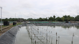 TP. Hồ Chí Minh: Quan trắc môi trường vùng nuôi tôm và nhuyễn thể