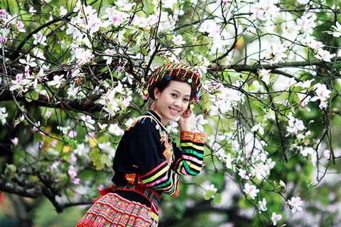 Tour Vĩnh Phúc - nhà tù Sơn La - hồ Quỳnh Nhai - Điện Biên - Mộc Châu - Vĩnh Phúc 5 ngày 4 đêm