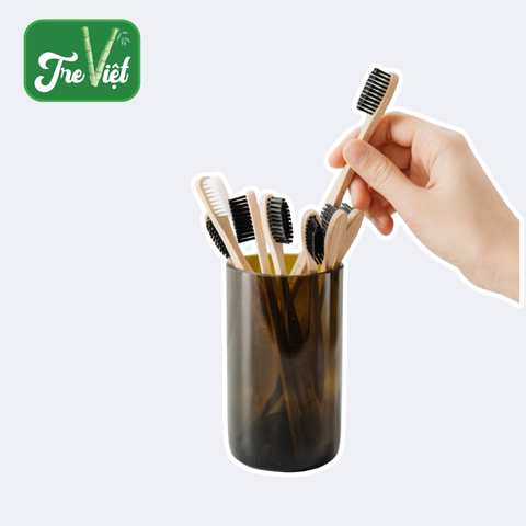 Bàn chải tre thân thiện môi trường cho cá nhân/ khách sạn/ resort/ khu du lịch - Bamboo Toothbrush
