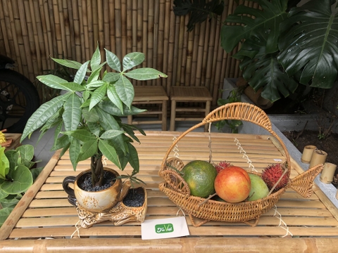 Rổ mây trang trí decor hình con cá đựng trái cây/ bánh kẹo