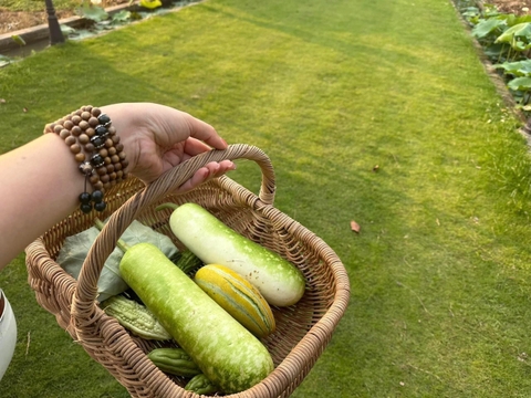 Giỏ Mây Picnic Đựng Đồ Đa Năng (không nắp không lót) - Picnic Basket