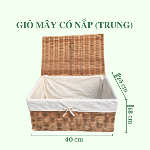 Giỏ Mây Đa Năng Đựng Đồ Có Nắp Lót - Rattan Basket