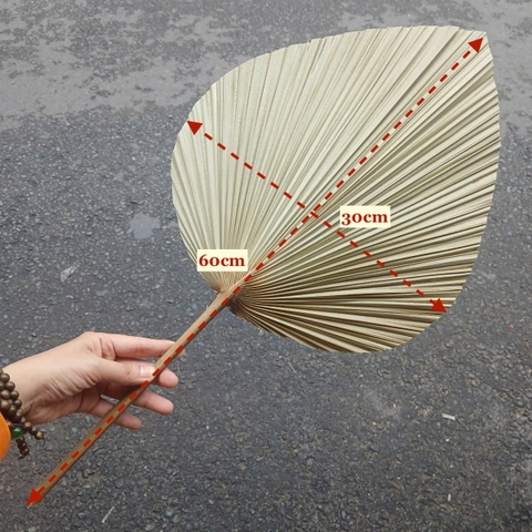 Quạt Lá Cọ - Quạt Cầm Tay Đan Thủ Công Decor / Treo tường
