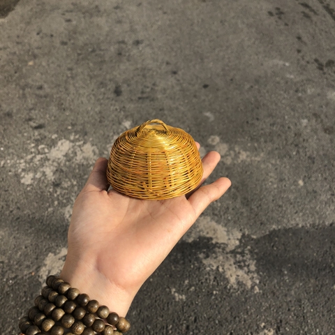 Mây Tre Mini Decor - Mây tre nhí phụ kiện chụp hình