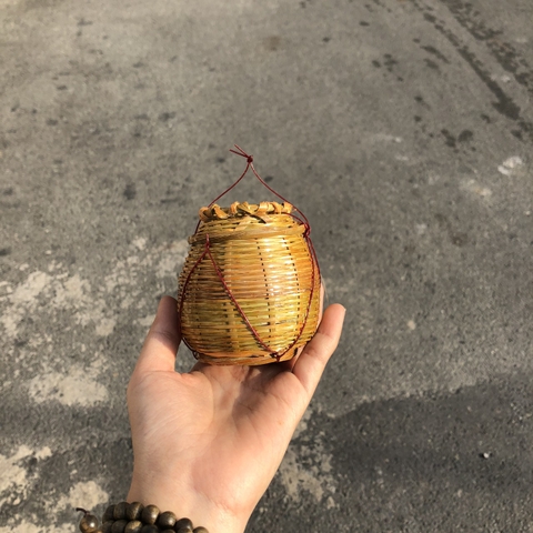 Mây Tre Mini Decor - Mây tre nhí phụ kiện chụp hình