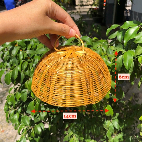 Mây Tre Mini Decor - Mây tre nhí phụ kiện chụp hình