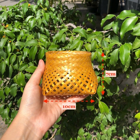 Mây Tre Mini Decor - Mây tre nhí phụ kiện chụp hình