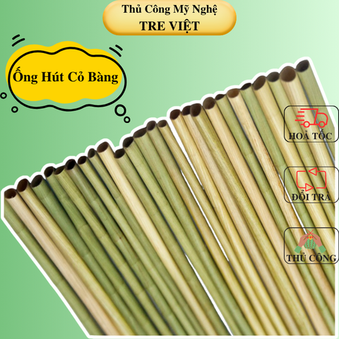Combo 500 ống hút cỏ bàng 20cm - Ống hút tự nhiên thân thiện môi trường
