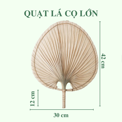 Quạt Lá Cọ - Quạt Cầm Tay Đan Thủ Công Decor / Treo tường